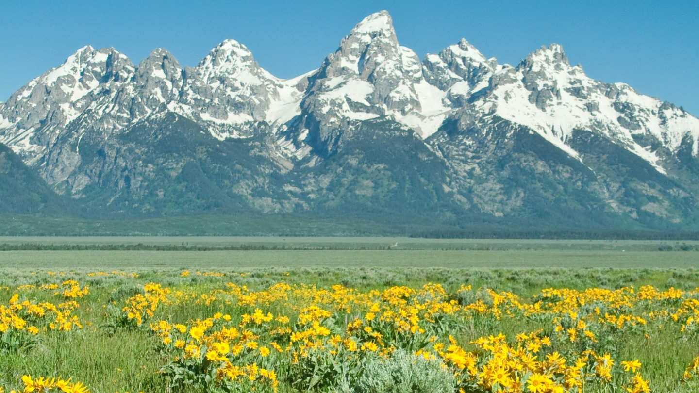 teton